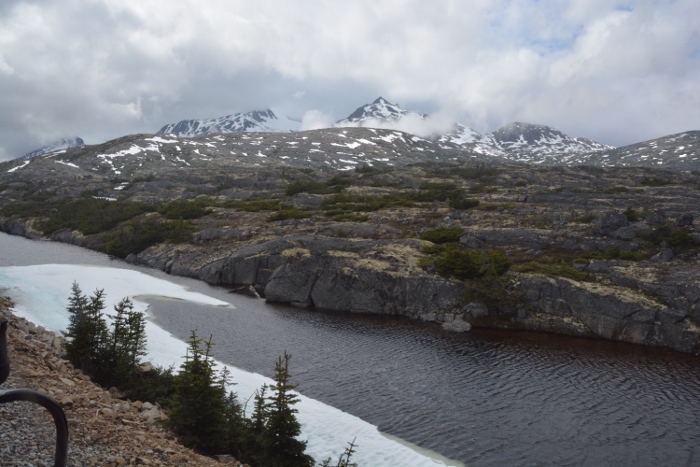 Fraser Meadow